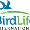 BirdLife International